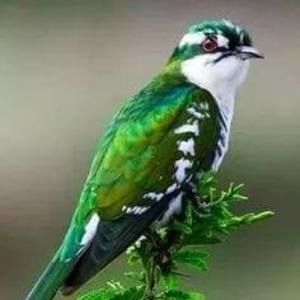 Meet your Posher, Lorraine